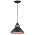 Perfecttwinkle 10 in. Outland Outdoor Pendant Light PE2681386